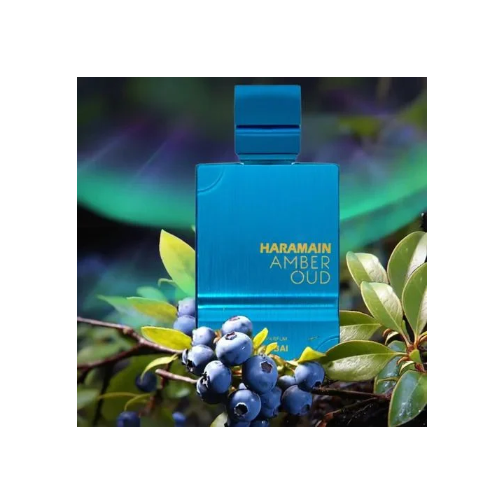 AMBER OUD AQUA DUBAI