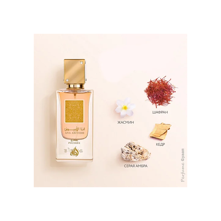 ANA ABIYEDH POUDREE